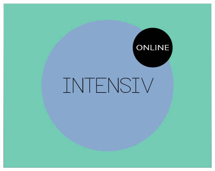 Online intensive German course
