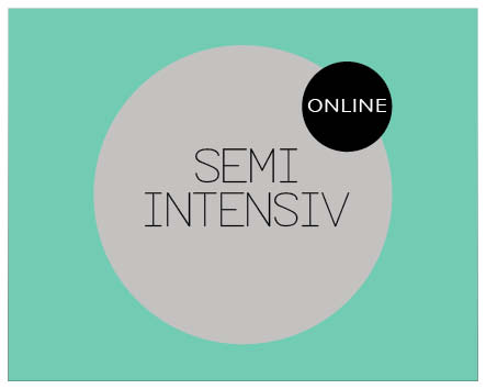 Online semi intensive German course